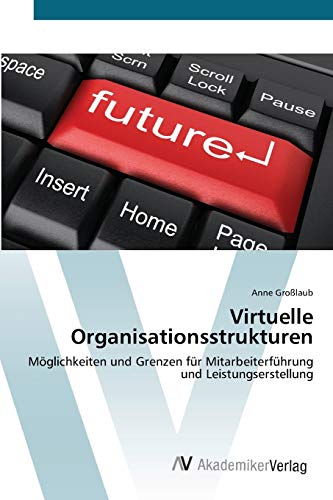 Virtuelle Organisationsstrukturen: Möglichkeiten und Grenzen für Mitarbeiterführung und Leistungserstellung