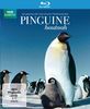 Pinguine Hautnah [Blu-ray]