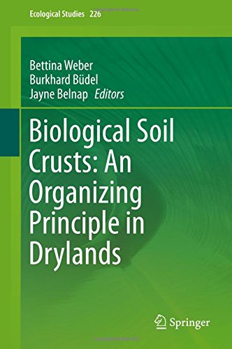 Biological Soil Crusts: An Organizing Principle in Drylands (Ecological Studies)