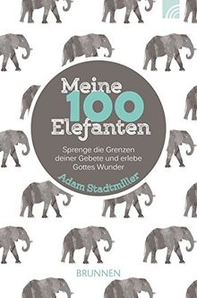 Meine 100 Elefanten: Sprenge die Grenzen deiner Gebete und erlebe Gottes Wunder von Stadtmiller, Adam | Buch | Zustand sehr gut
