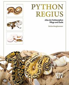 Python regius: Atlas der Farbmorphen