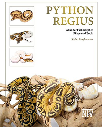 Python regius: Atlas der Farbmorphen