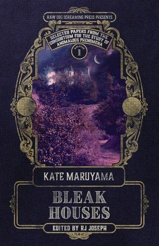 Bleak Houses: Safer & Family Solstice (Selected Papers from the Consortium for the Study of Anomalous Phenomena, Band 1)