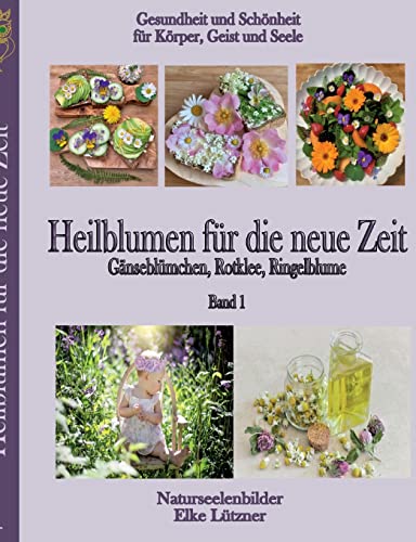 Heilblumen für die neue Zeit: Gänseblümchen, Rotklee, Ringelblume