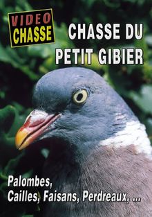 Chasse du petit gibier [FR Import]