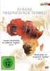 Afrikas faszinierende Tierwelt [3 DVDs]