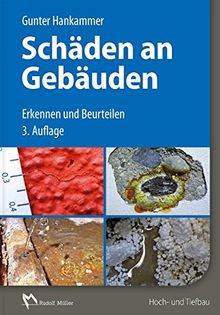 Schäden an Gebäuden: Erkennen und Beurteilen