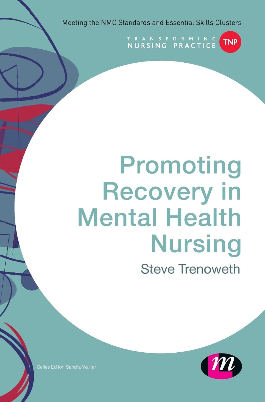 Promoting Recovery in Mental Health Nursing (Transforming Nursing Practice)