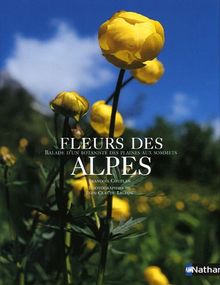 Fleurs des Alpes : balade d'un botaniste, des plaines aux sommets