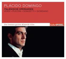 KulturSPIEGEL - Die besten guten Klassik-CDs: Italienische Opernarien