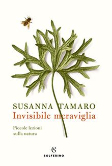 Invisibile Meraviglia. Piccole Lezioni Sulla Natura