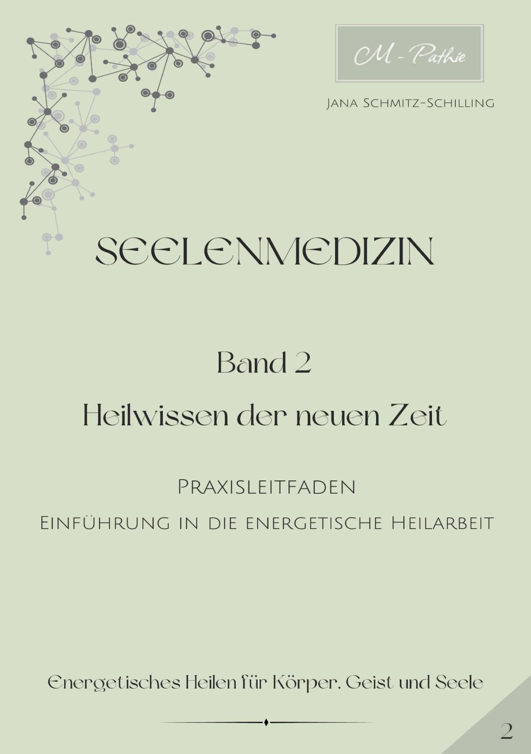 Seelenmedizin: Band 2 - Praxisleitfaden - Heilung auf Körperebene