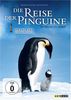 Die Reise der Pinguine (Einzel-DVD)