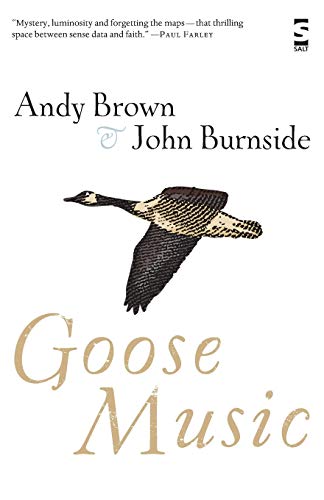 Goose Music (Salt Modern Poets)