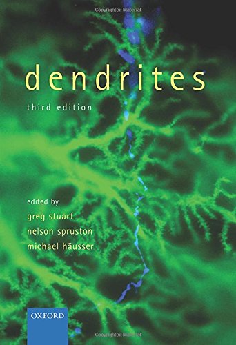 Dendrites