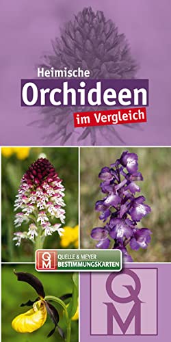 Heimische Orchideen: im Vergleich (Quelle & Meyer Bestimmungskarten)