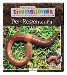 Der Regenwurm (Meine große Tierbibliothek)