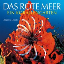 Das Rote Meer: Ein Korallengarten | Buch | Zustand gut