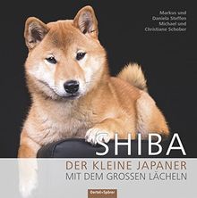 Shiba: Der kleine Japaner mit dem großen Lächeln