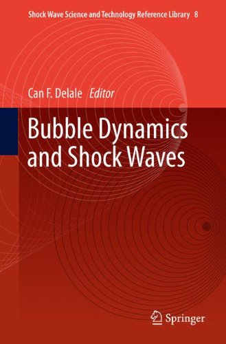 Bubble Dynamics and Shock Waves (Shock Wave Science and Technology Reference Library)