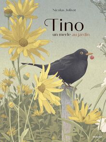 Tino : un merle au jardin