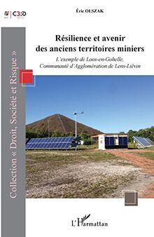 Résilience et avenir des anciens territoires miniers : l'exemple de Loos-en-Gohelle, communauté d'agglomération de Lens-Liévin