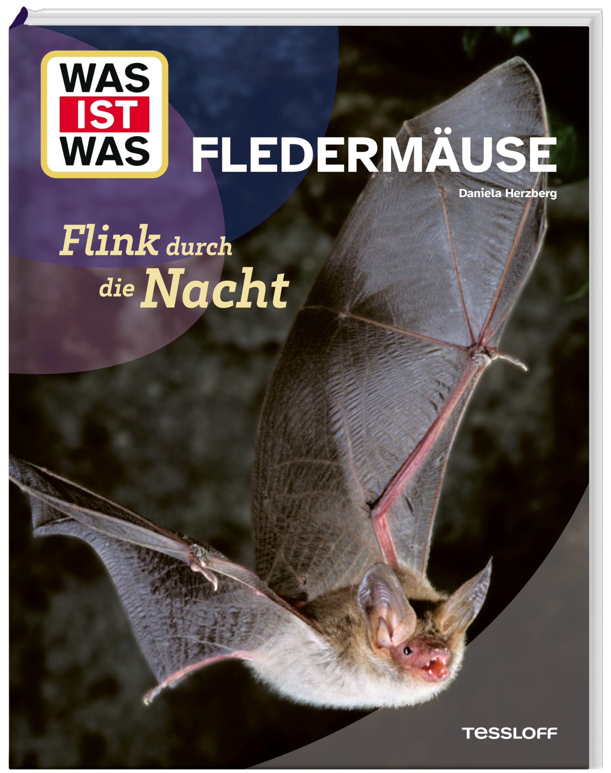 WAS IST WAS Fledermäuse – Flink durch die Nacht | Sachbuch für Kinder ab 8 Jahren über Fledermäuse, ihre Lebensweise und Superkräfte (WAS IST WAS Das Original)