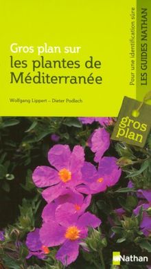 Plantes de Méditerranée