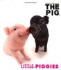 Little Piggies (Pig Artist Collection)