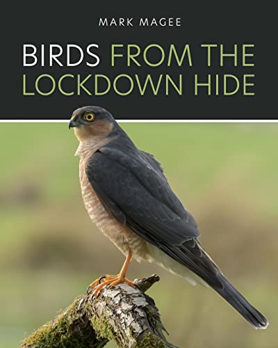 Birds From The Lockdown Hide