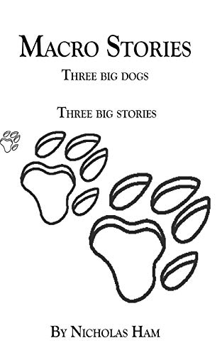 Macro Stories