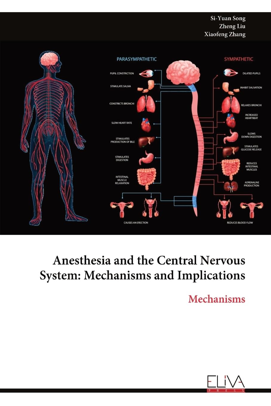 Anesthesia and the Central Nervous System: Mechanisms and Implications: Mechanisms