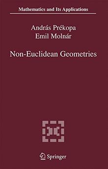 Non-Euclidean Geometries: János Bolyai Memorial Volume: Janos Bolyai Memorial Volume (Mathematics and Its Applications, Band 581)
