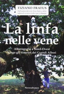 La linfa nelle vene. Alberografie a Nord-Ovest lungo gli itinerari dei grandi alberi