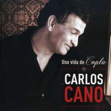 Una Vida de Copla