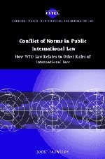Conflict of Norms in Public International Law: How WTO Law Relates to other Rules of International Law (Cambridge Studies in International and Comparative Law, Band 29)