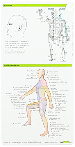 Stuckrad-Barre, Sebastian von: Neurologie pocketcard Set