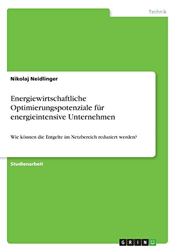 Energiewirtschaftliche Optimierungspotenziale für energieintensive Unternehmen: Wie können die Entgelte im Netzbereich reduziert werden?