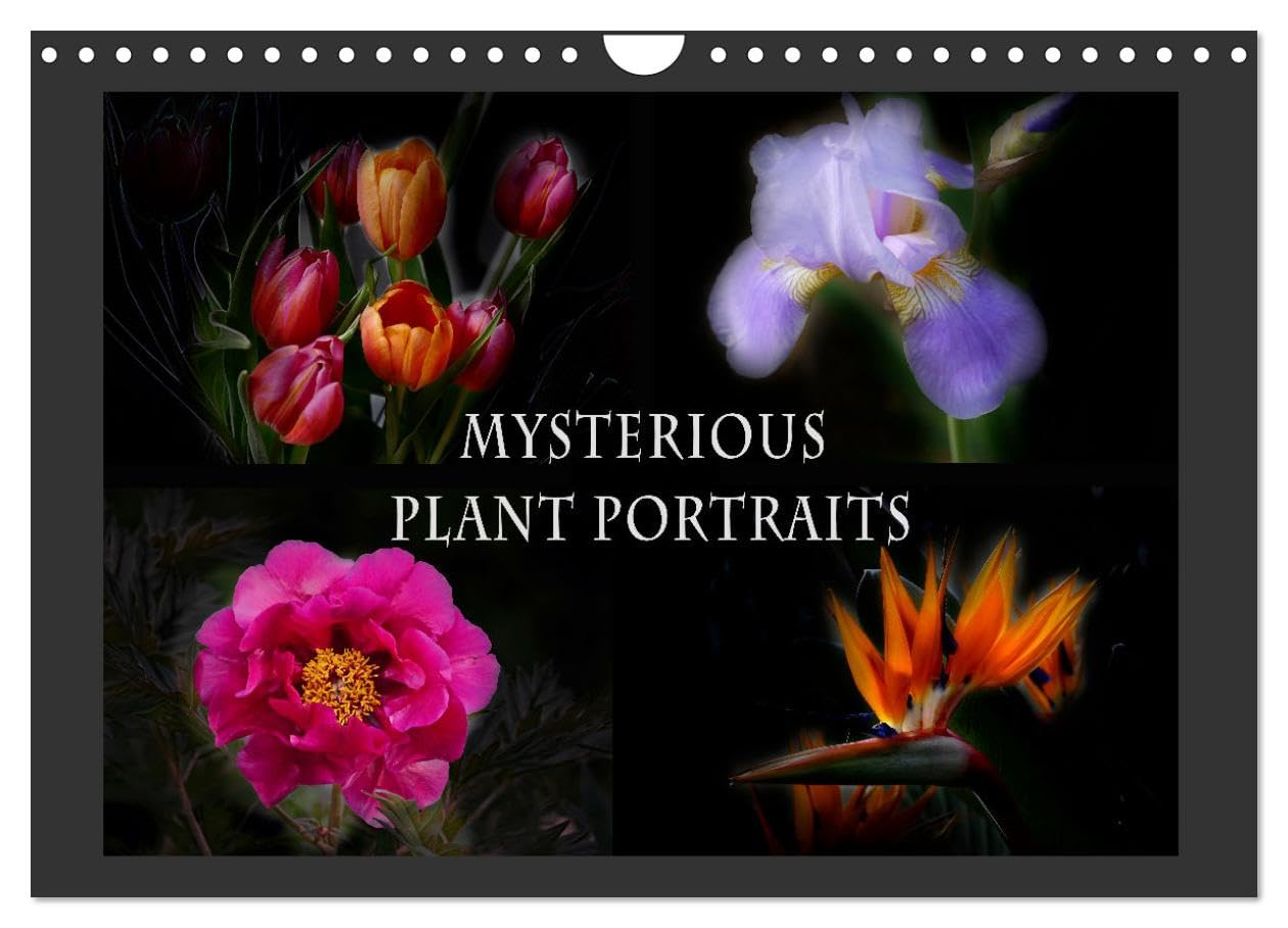 Mysterious plant portraits (Wall Calendar 2026 DIN A4 landscape), CALVENDO 12 Month Wall Calendar: Magical plants glow in the dark