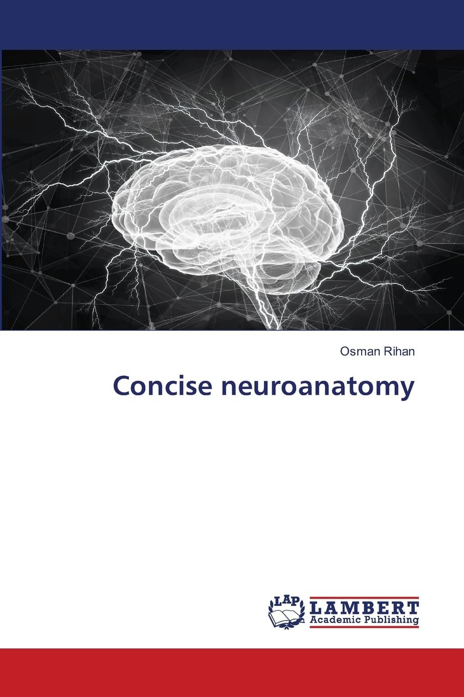 Concise neuroanatomy: DE