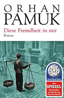 Diese Fremdheit in mir: Roman