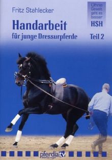 Handarbeit für junge Dressurpferde 2
