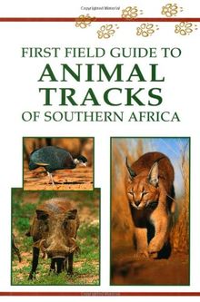 First Field Guide to Animal Tracks of Southern Africa (First Field Guides)