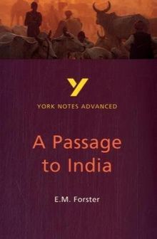 Passage to India: Study Notes (York Notes Advanced)