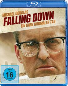 Falling Down von Plaion Pictures  | DVD | Zustand gut