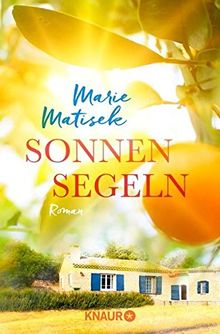 Sonnensegeln: Roman