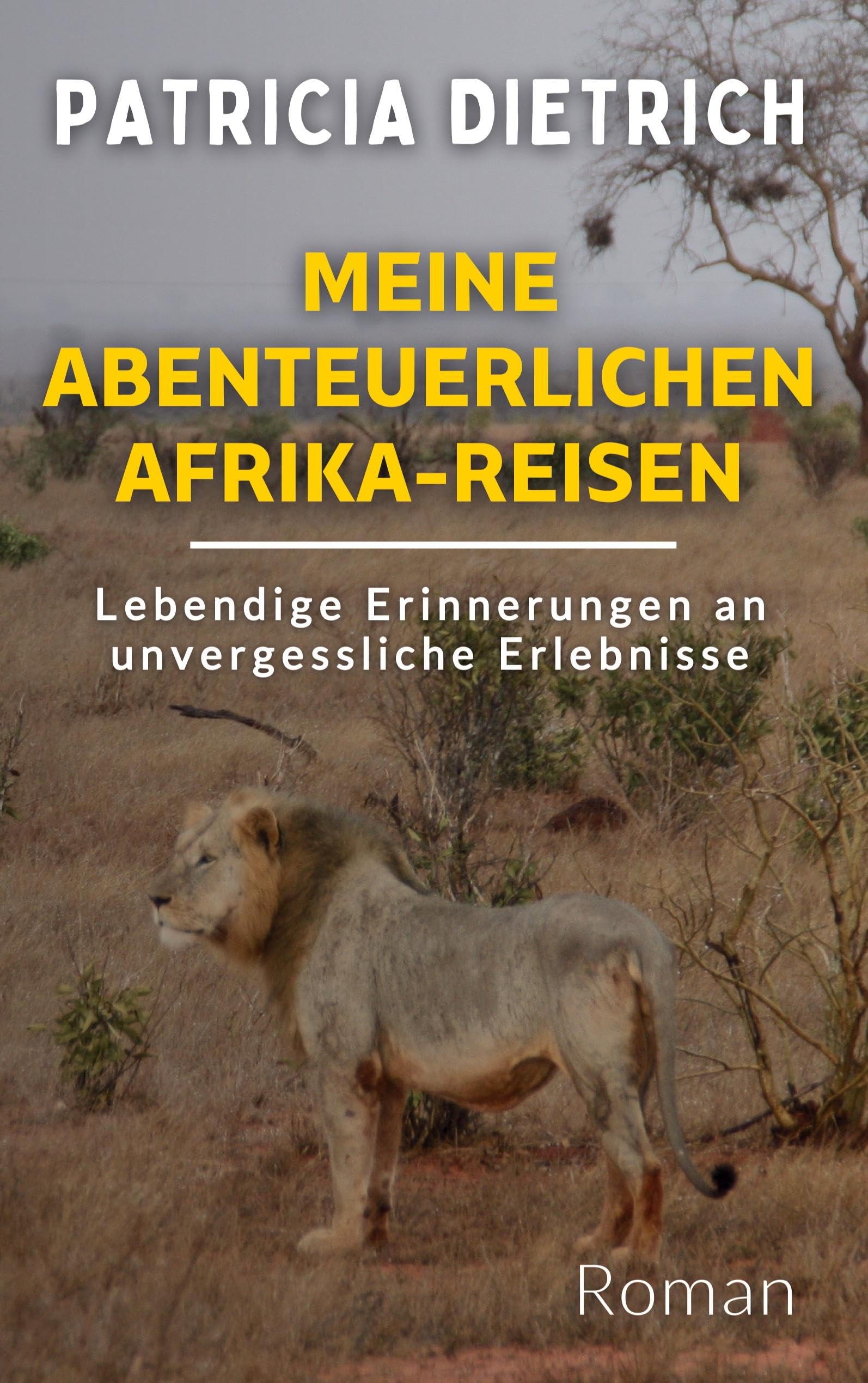 Meine abenteuerlichen Afrika-Reisen: Lebendige Erinnerungen an unvergessliche Erlebnisse