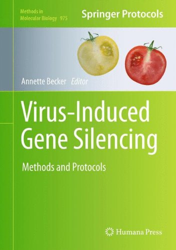 Virus-Induced Gene Silencing: Methods and Protocols (Methods in Molecular Biology)