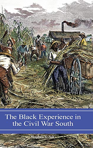 The Black Experience in the Civil War South (Reflections on the Civil War Era)