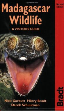 Madagascar Wildlife: A Visitor's Guide (Bradt Wildlife Guides)